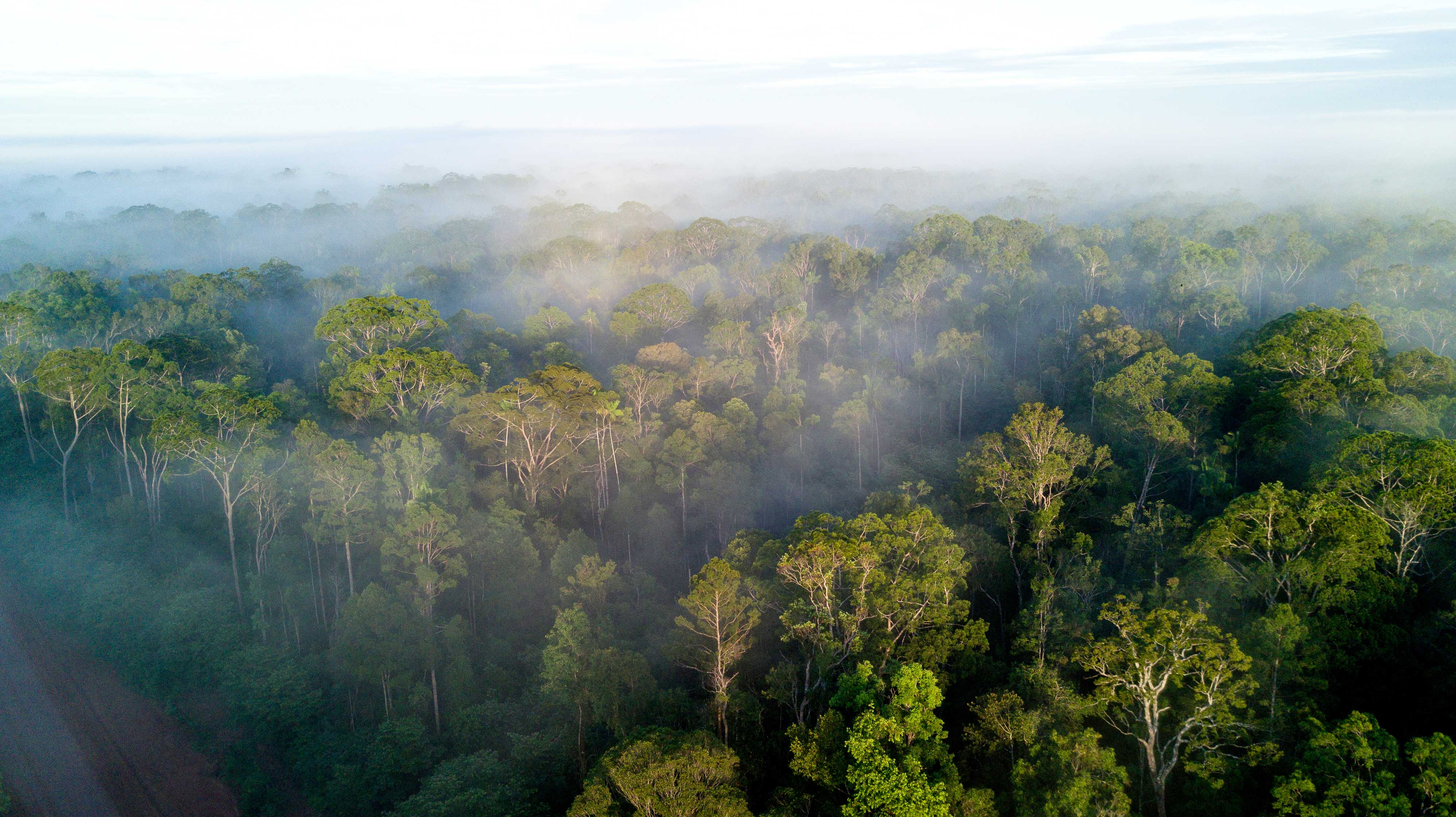 Korindo Brings Modern Clinic in the Remote Area of Papua ...